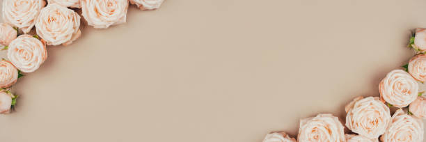 istock Spring background. Rose flowers on a beige background. 1305341050