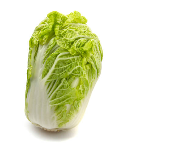 istock Peking cabbage close-up on a white isolated background, free space 1305341053
