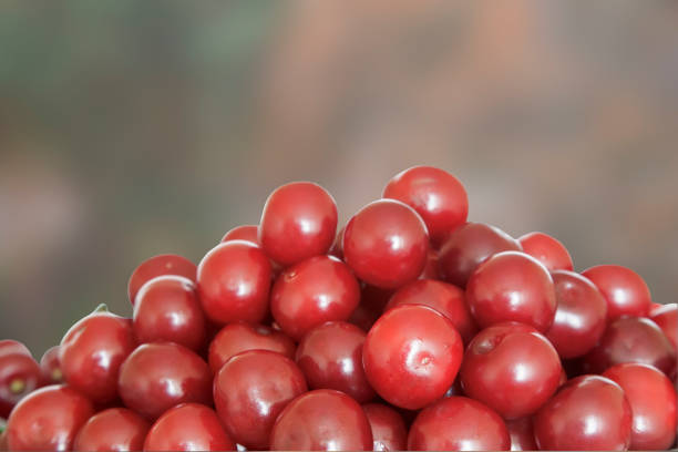 istock Large ripe fruits of cherry the background image 1305341621