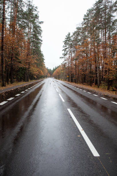 istock asphalt autumn road after the rain 1305343220