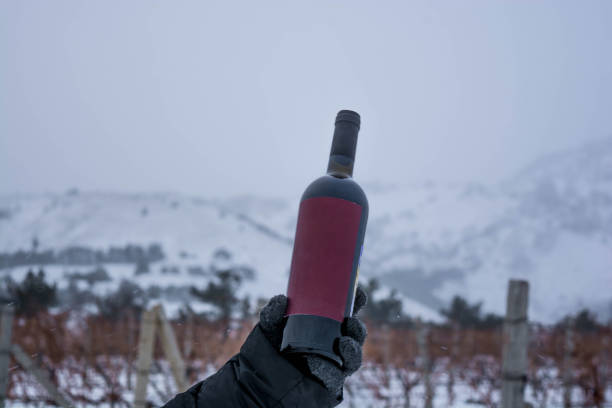 Wine bottle in the snow