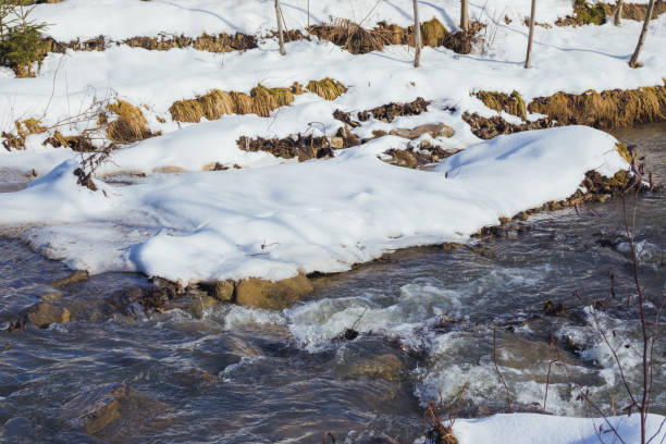 istock Winter river. Water flow and snowy shores. Thaw. Early spring 1305351289