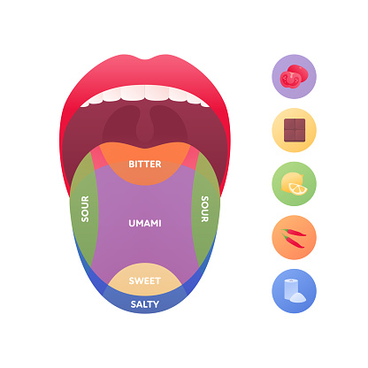 Taste scheme concept. Vector flat modern color illustration. Tongue with lips. Mouth tasty sense symbol. Umami, sweet, sour, bitter, salty symbol icons. Tongue zone infographic.