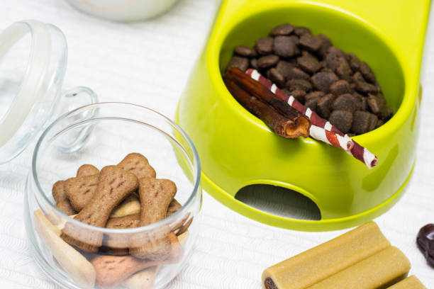 istock Raw dog food ingredients 1305352472