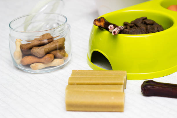 istock Raw dog food ingredients 1305352487