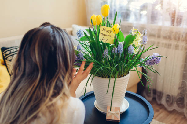 kobieta pachnie kwitnącymi wiosennymi żółtymi kwiatami z kartką z życzeniami w domu. dzień matki. - mothers day tulip yellow greeting card zdjęcia i obrazy z banku zdjęć