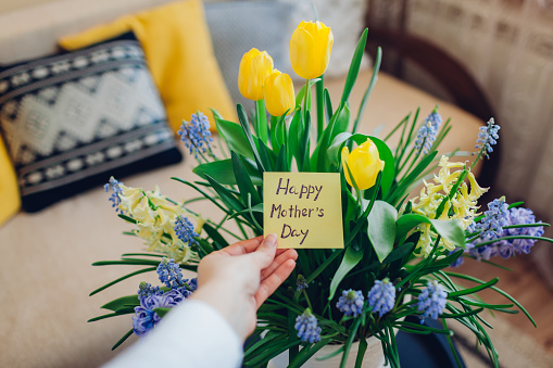 Happy Mother's day. Woman holds greeting card with blooming spring yellow blue flowers at home. Present for holiday with 2021 colors