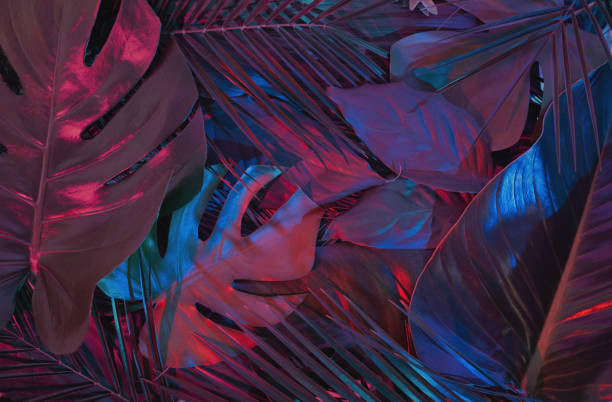 istock Creative fluorescent tropical green leaves layout. Purple and blue neon light flat lay. Nature concept. 1305354343