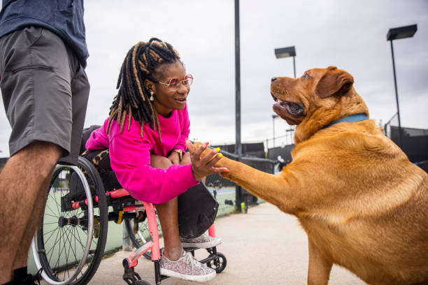 joven negra discapacitada en silla de ruedas jugando pickleball con amigo - wheelchair tennis physical impairment athlete fotografías e imágenes de stock