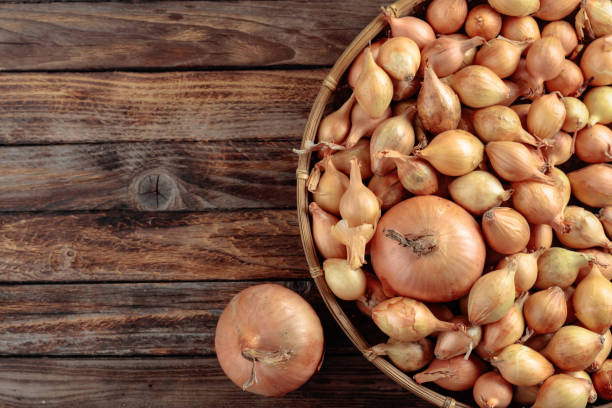 istock Onion on a old wooden table. 1305355484