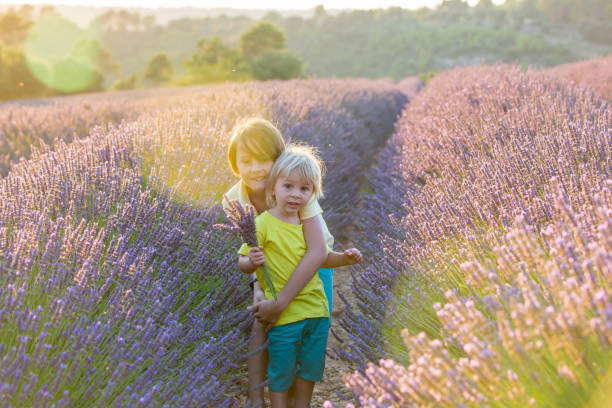 istock Cute little child, beautiful boy, playing in lavender field 1305356863