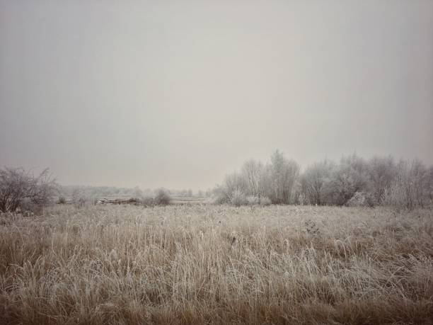 istock Winter frosty landscape 1305358641
