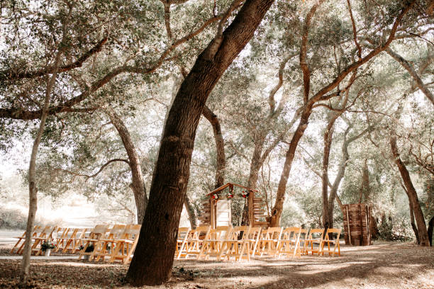 istock Vintage rustic venue in eucalyptus forest.  Rustic wooden outdoor ceremony. 1305359916