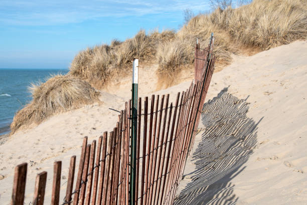 istock Wooden Fence on Sand Dune 1305366176