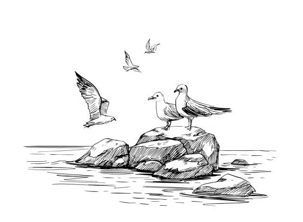Vector illustration of Seascape sketch. Sea, rocks, seagulls, landscape. Hand drawn illustration converted to vector. Black outline on transparent background