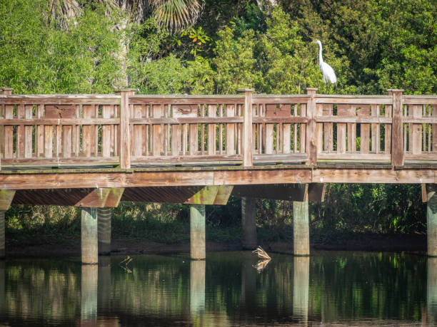 istock Wooden walking trail in a landscape 1305374836