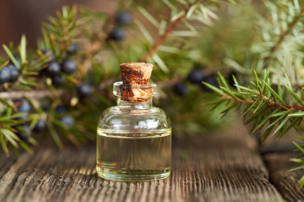 istock A bottle of essential oil with juniper twigs 1305375053