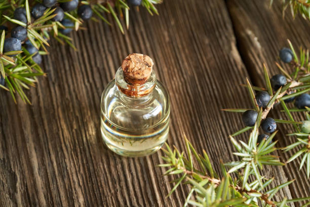 istock Essential oil bottle with fresh juniper twigs 1305375093