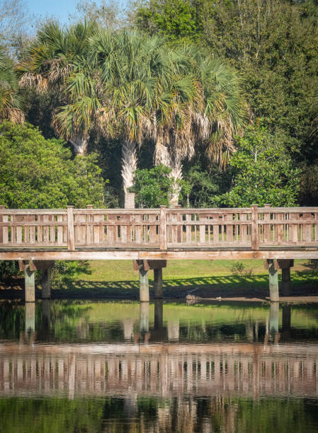 istock Wooden walking trail in a landscape 1305377480