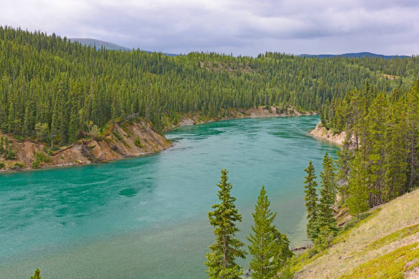 The Yukon River Heading into Miles Canyon The Yukon River Heading into Miles Canyon Near Whitehorse, Yukon yukon river canyon yukon whitehorse stock pictures, royalty-free photos & images
