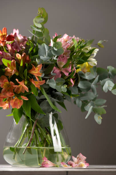 istock Alstroemeria, beauty in nature. 1305380369