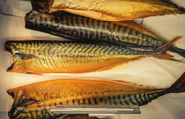 Photo of smoked mackerel fish in market