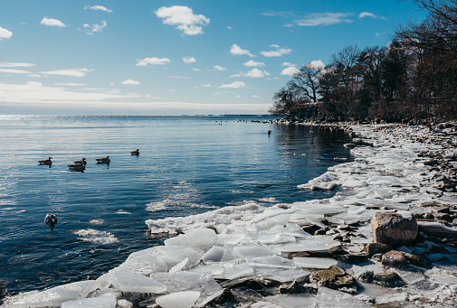 Ice and ducks along frozen shore of Lake Ontario on sunny winter day