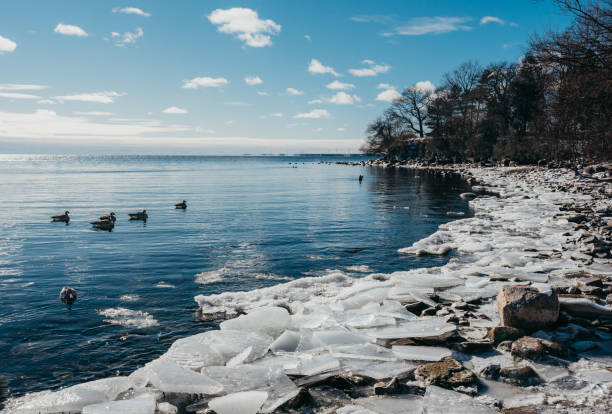 Ice and ducks along frozen shore of Lake Ontario on sunny winter day Ice and ducks along frozen shore of Lake Ontario on sunny winter day in Kingston, ON, Canada kingston ontario photos stock pictures, royalty-free photos & images