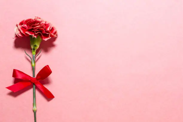 Photo of Red carnations for Mother's Day and anniversaries.