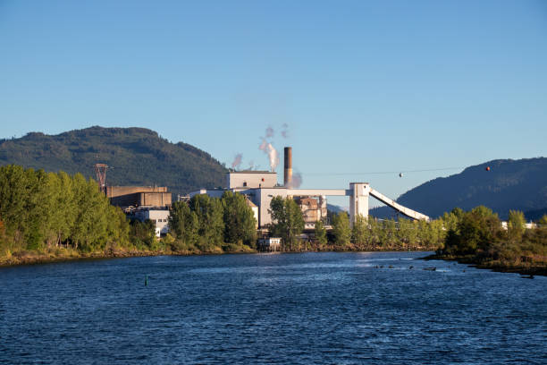 view of port alberni paper mill on the edge of the alberni inlet - run of the mill imagens e fotografias de stock