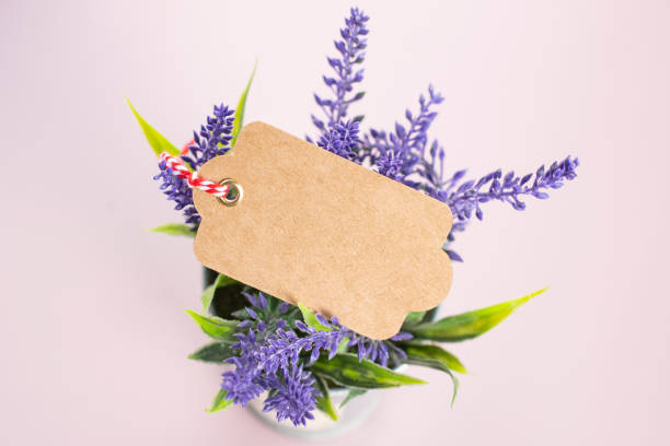 istock Herbal plants and tag mockup 1305403014