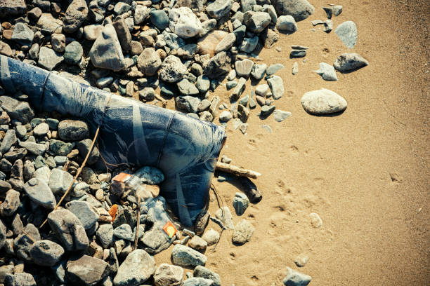Plastic waste on the beach. Pollution concept.
