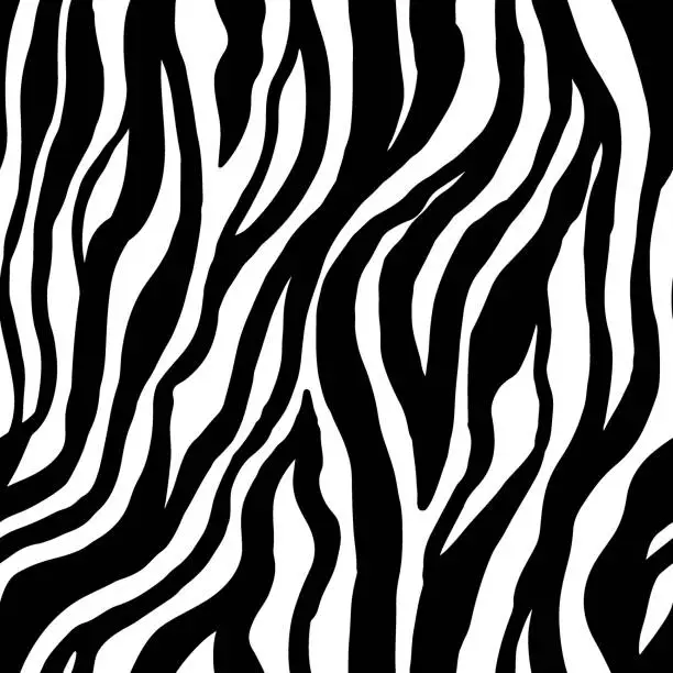 Vector illustration of Zebra stripes seamless pattern for printing on fabric. Beautiful print for printing on phone cases, clothes, paper. Animal print vector format in black and white