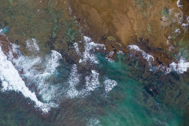 istock Aerial view over a pristine coastline in South Africa 1305416885