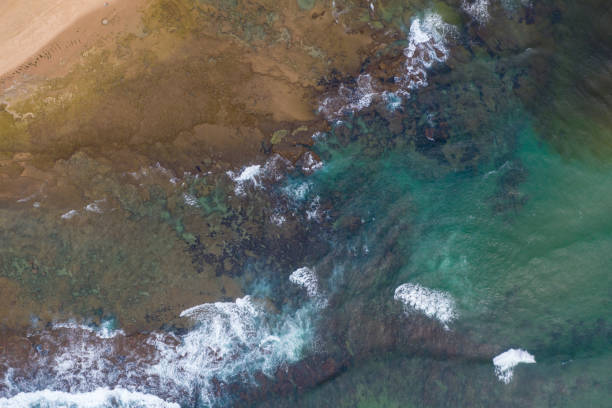 istock High angle view over a pristine coastline in South Africa 1305416893