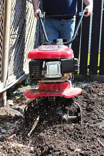 Cultivating garden soil in the spring with a rototiller.