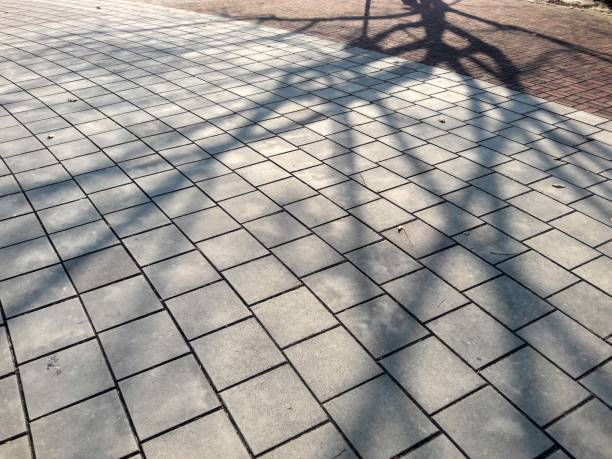 Tree shadows on old stone pavement in the sunset