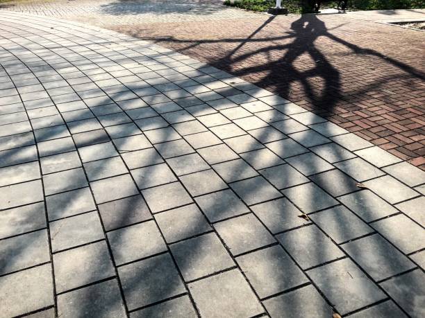 Tree shadows on old stone pavement in the sunset