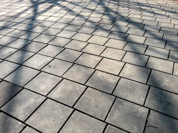 istock Tree shadows on old stone pavement in the sunset 1305422269