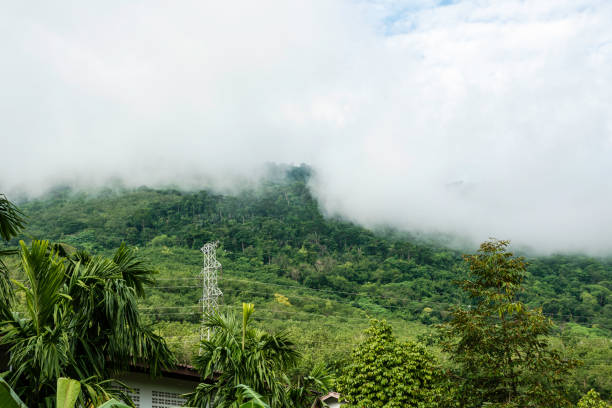 istock Landscape mountain with green nature 1305427007