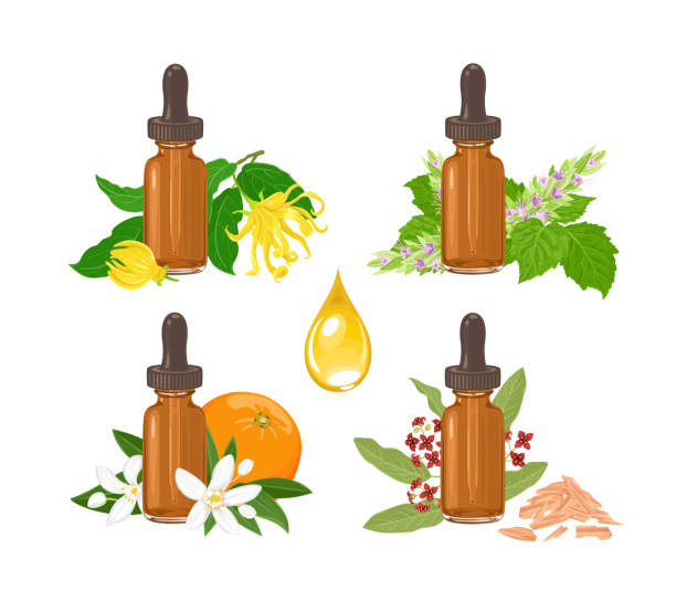 ilustrações de stock, clip art, desenhos animados e ícones de set of essential oil in amber glass dropper bottle isolated on white. sandalwood and fragrant flowers of patchouli, ylang-ylang, neroli. vector illustration in cartoon flat style. - amber beer