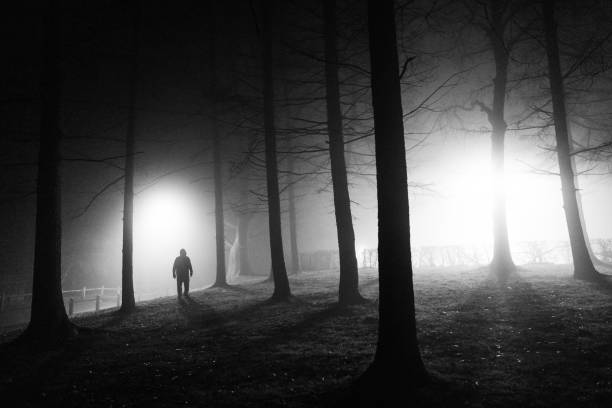 istock Sinister silhouette man lurking in forest at night 1305443957