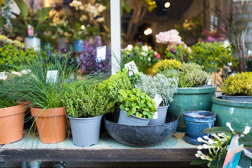 Selective focus color image depicting beautiful fresh spring flowers for sale outside a florist shop. Focus is on the flowers and vases in the foreground, while the background is nicely blurred out of focus. Room for copy space.