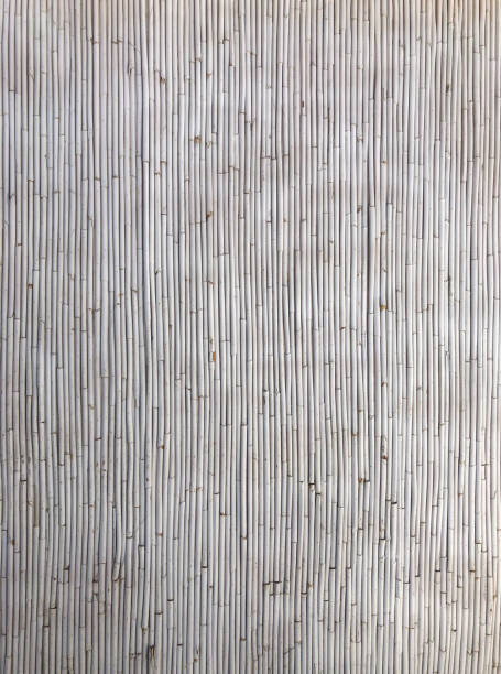 istock Dyed bamboo in white with a sun shade.  Vertical texture for background. 1305444476