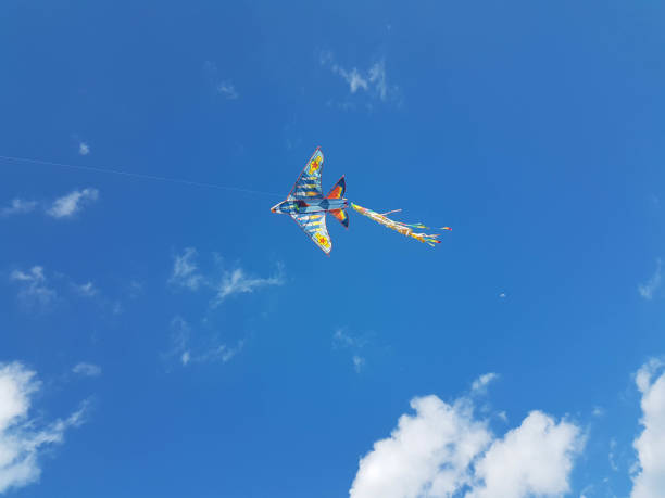 istock kite flying on the sky carnival green monday kids playing 1305445152