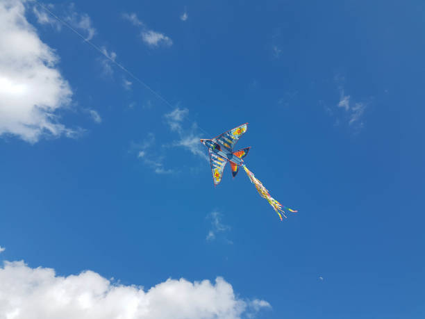 istock kite flying on the sky carnival green monday kids playing 1305445154