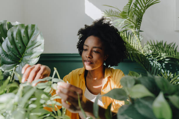 istock Taking care of my plants 1305446718