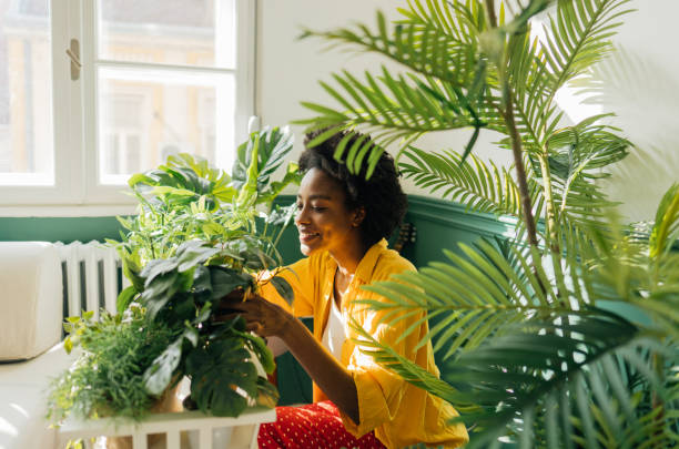 istock Taking care of my plants 1305447268