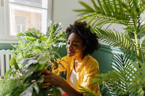 istock Taking care of my plants 1305447350