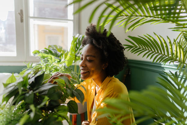 istock Taking care of my plants 1305447462